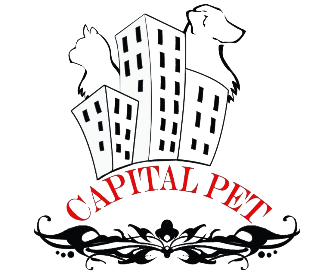 پت‌شاپ پایتخت